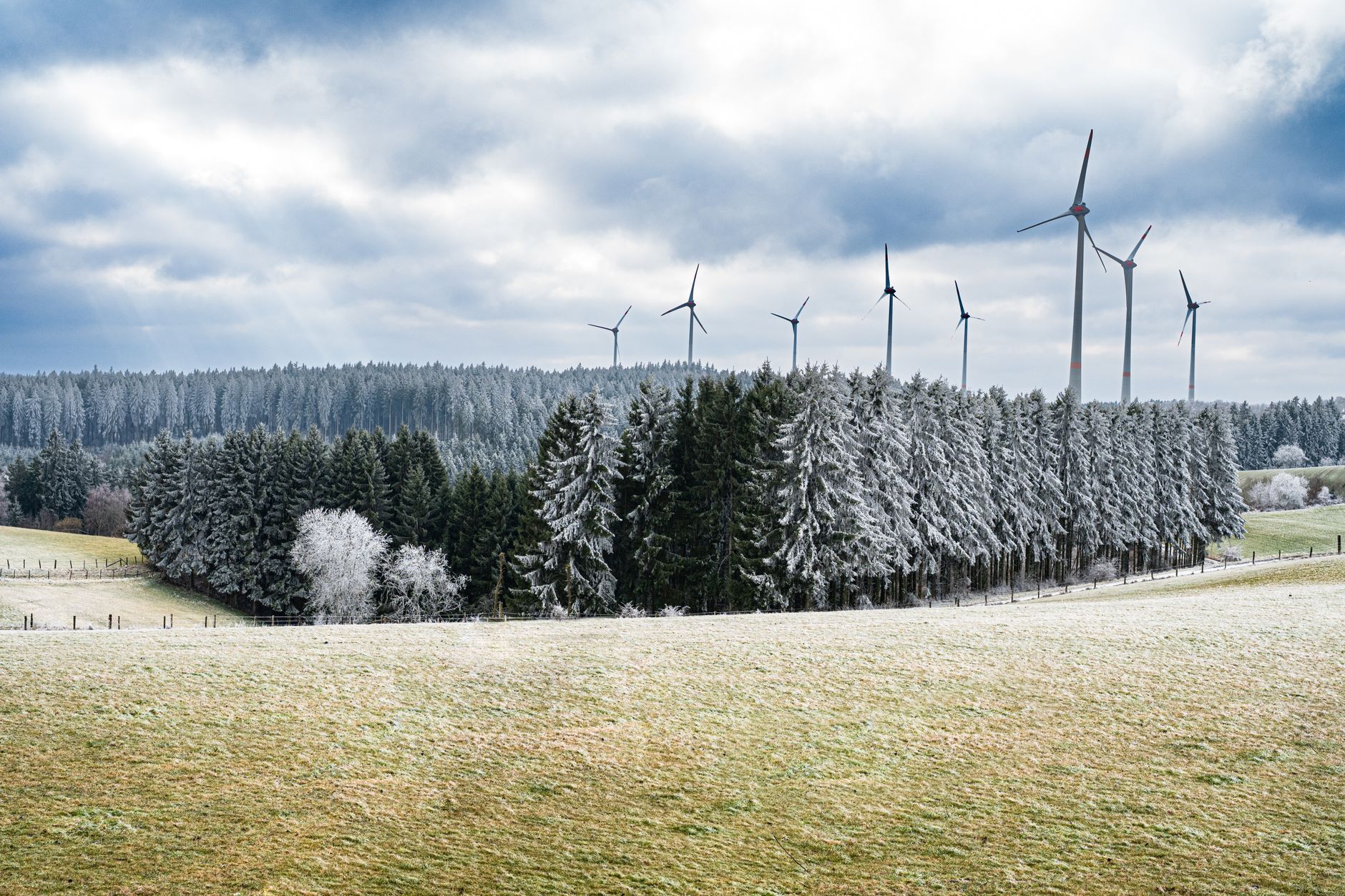 Eine idyllische Winterszene mit Windkraftanlagen in einem frostigen immergrünen Wald unter bewölktem Himmel.