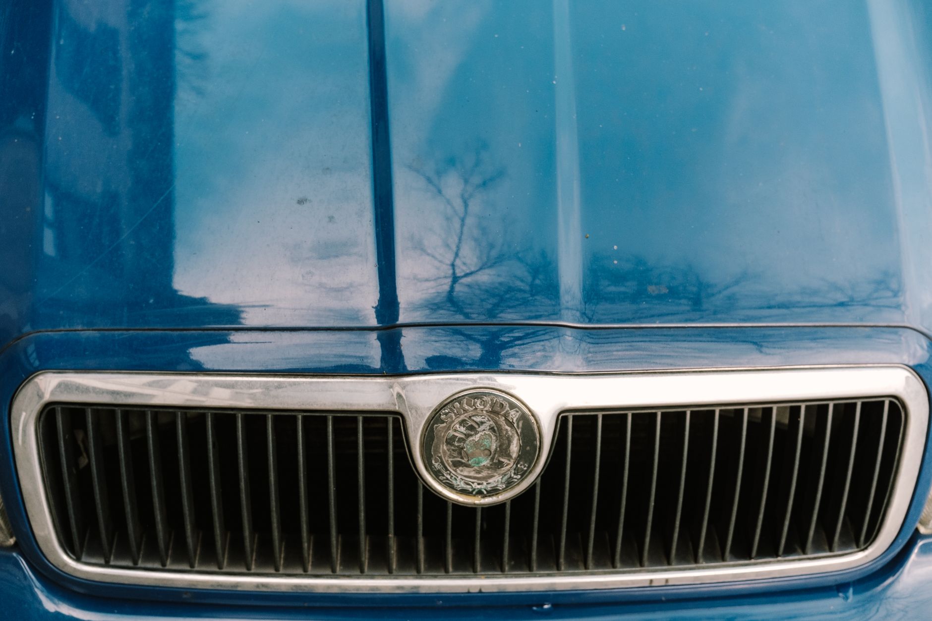 Detaillierte Nahaufnahme eines blauen Kühlergrills und einer Motorhaube eines Oldtimers mit markantem Metallemblem.