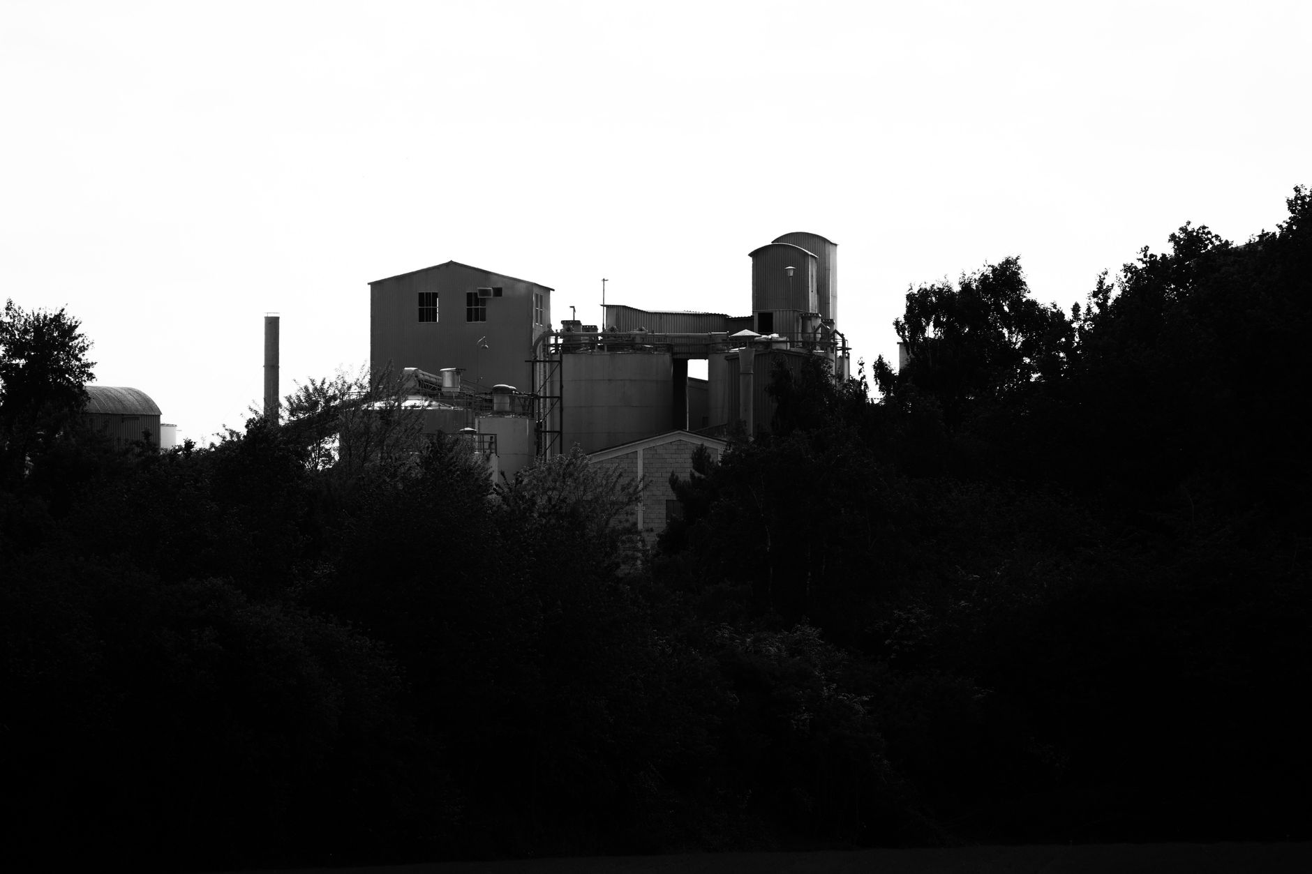 Schwarz-weiß-Bild einer Industrieanlage umgeben von Bäumen in Andernach, Deutschland.